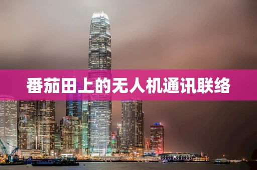 番茄田上的无人机通讯联络