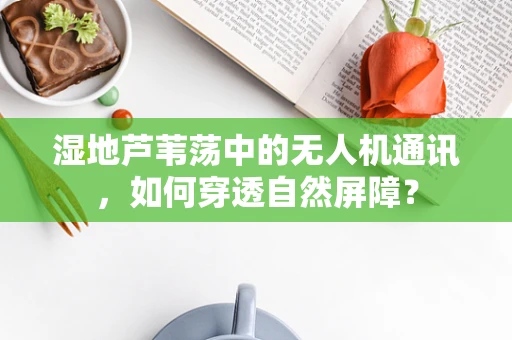 湿地芦苇荡中的无人机通讯，如何穿透自然屏障？