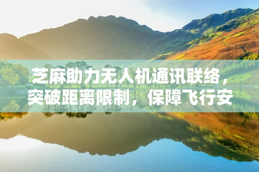芝麻助力无人机通讯联络，突破距离限制，保障飞行安全