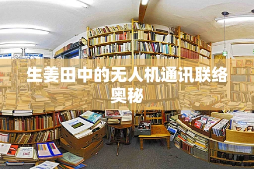 生姜田中的无人机通讯联络奥秘