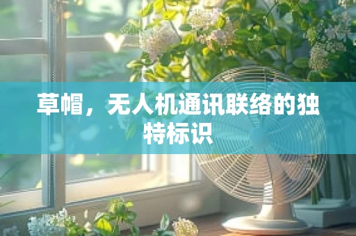 草帽，无人机通讯联络的独特标识