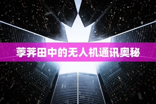 荸荠田中的无人机通讯奥秘