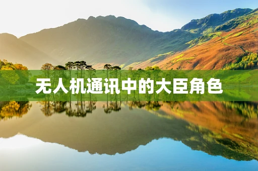 无人机通讯中的大臣角色