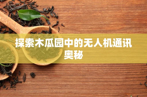 探索木瓜园中的无人机通讯奥秘