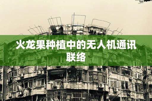 火龙果种植中的无人机通讯联络