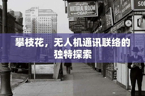 攀枝花，无人机通讯联络的独特探索