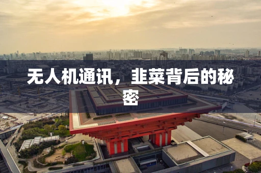 无人机通讯，韭菜背后的秘密