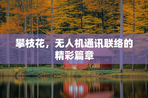 攀枝花，无人机通讯联络的精彩篇章