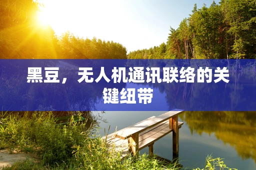 黑豆，无人机通讯联络的关键纽带