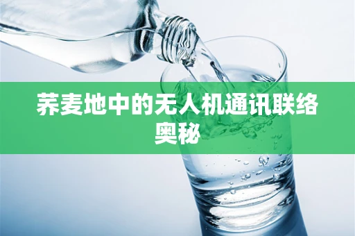 荞麦地中的无人机通讯联络奥秘