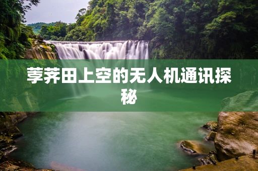 荸荠田上空的无人机通讯探秘