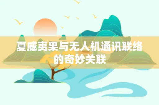 夏威夷果与无人机通讯联络的奇妙关联