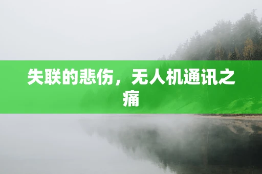 失联的悲伤，无人机通讯之痛