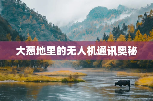 大葱地里的无人机通讯奥秘