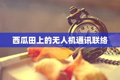 西瓜田上的无人机通讯联络