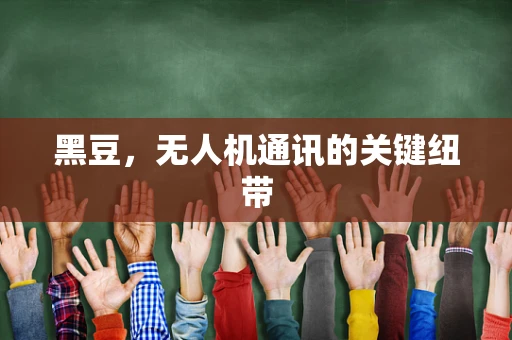 黑豆，无人机通讯的关键纽带
