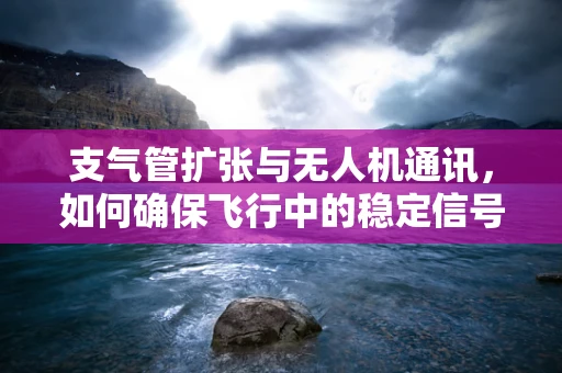 支气管扩张与无人机通讯，如何确保飞行中的稳定信号传输？