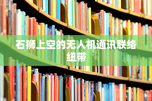 石狮上空的无人机通讯联络纽带