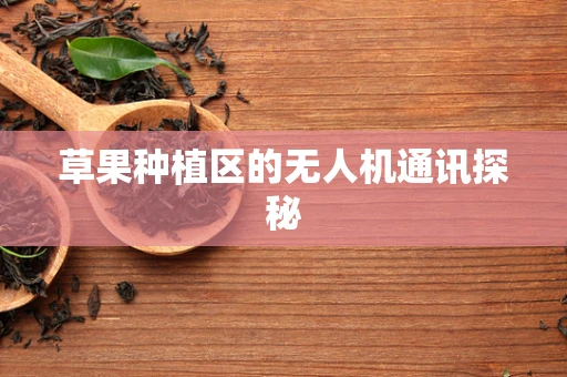 草果种植区的无人机通讯探秘