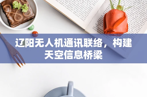 辽阳无人机通讯联络，构建天空信息桥梁