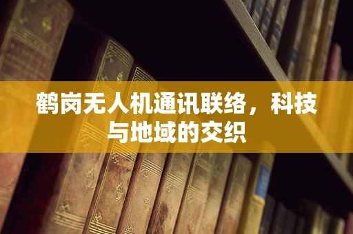 鹤岗无人机通讯联络，科技与地域的交织