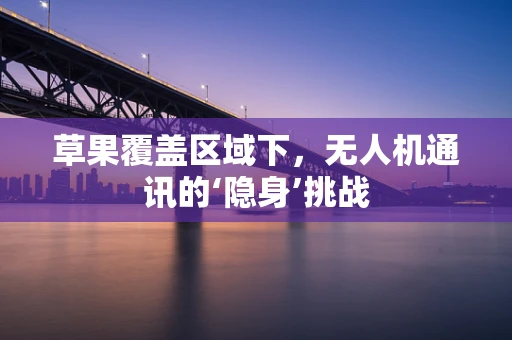 草果覆盖区域下，无人机通讯的‘隐身’挑战
