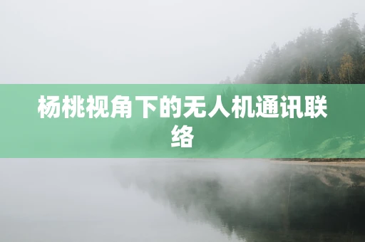 杨桃视角下的无人机通讯联络