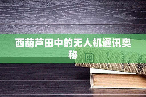 西葫芦田中的无人机通讯奥秘