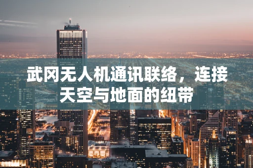 武冈无人机通讯联络，连接天空与地面的纽带