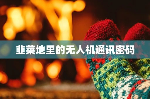 韭菜地里的无人机通讯密码
