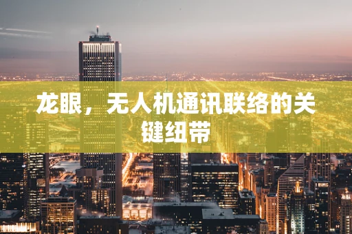 龙眼，无人机通讯联络的关键纽带
