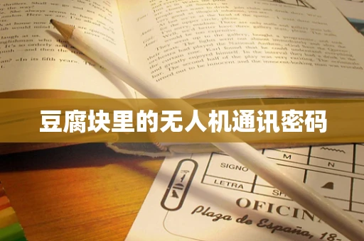 豆腐块里的无人机通讯密码