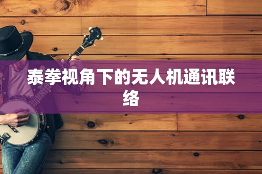 泰拳视角下的无人机通讯联络