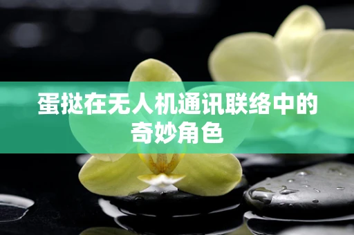 蛋挞在无人机通讯联络中的奇妙角色