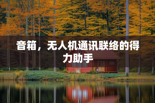 音箱，无人机通讯联络的得力助手