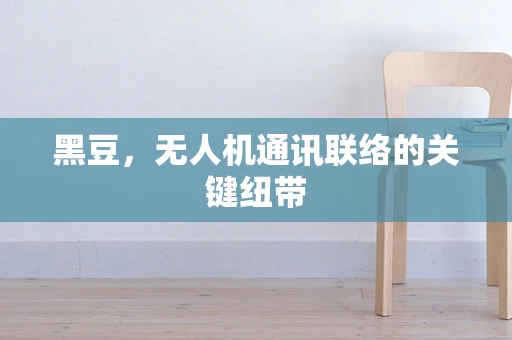黑豆，无人机通讯联络的关键纽带