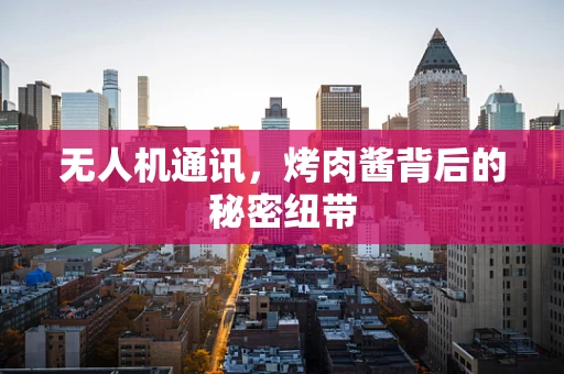 无人机通讯，烤肉酱背后的秘密纽带