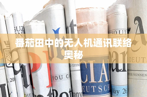 番茄田中的无人机通讯联络奥秘