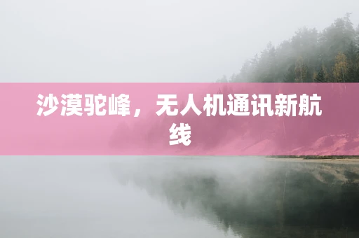 沙漠驼峰，无人机通讯新航线