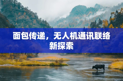 面包传递，无人机通讯联络新探索