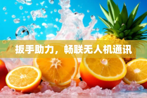扳手助力，畅联无人机通讯