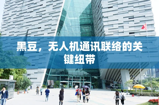 黑豆，无人机通讯联络的关键纽带