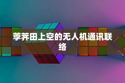 荸荠田上空的无人机通讯联络