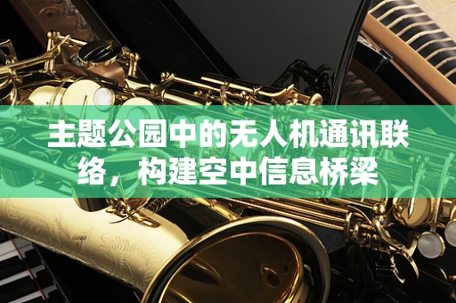 主题公园中的无人机通讯联络，构建空中信息桥梁