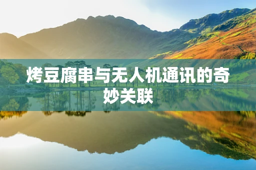 烤豆腐串与无人机通讯的奇妙关联