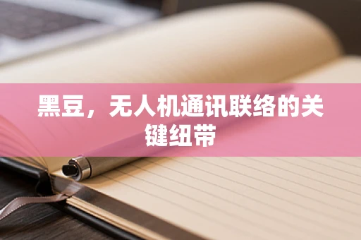 黑豆，无人机通讯联络的关键纽带
