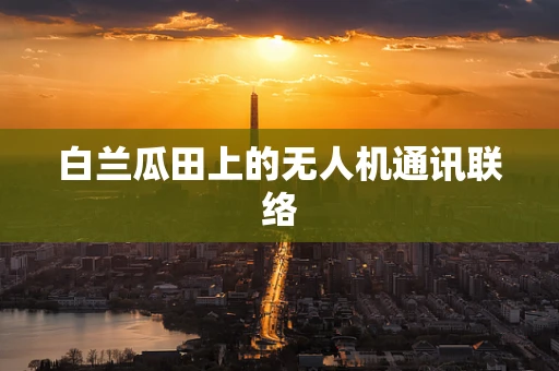白兰瓜田上的无人机通讯联络