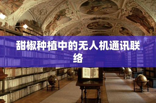 甜椒种植中的无人机通讯联络