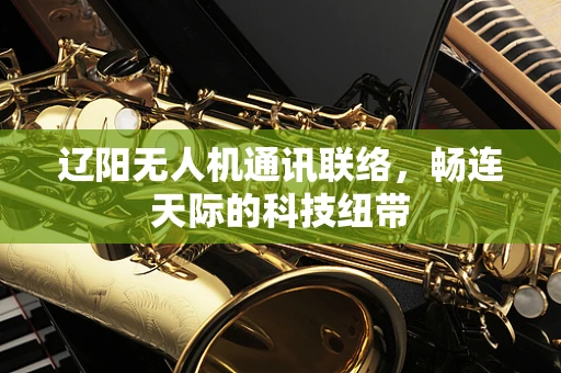 辽阳无人机通讯联络，畅连天际的科技纽带