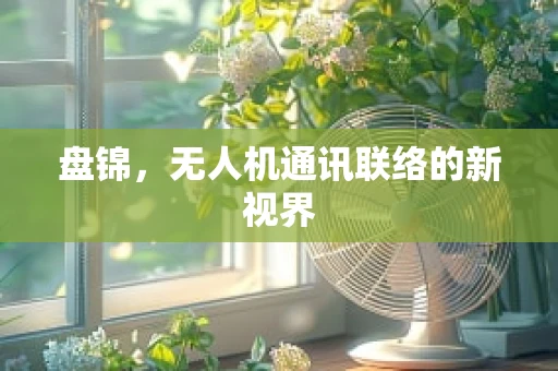 盘锦，无人机通讯联络的新视界